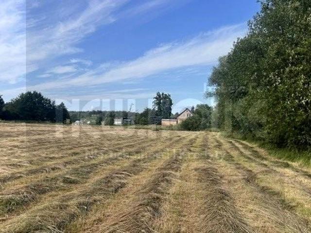 Działka 2 507 m², Tatynia