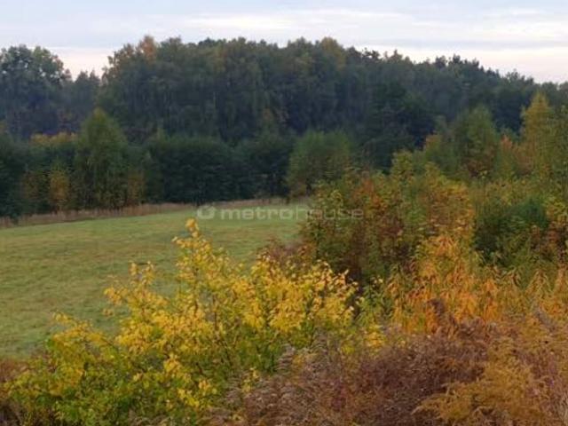 Działka 2 500 m², Swarzędz