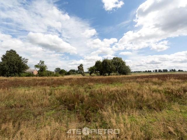 Działka 2 500 m², Wola Przybysławska