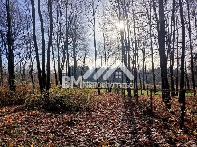 Działka 2 589 m², Podkowa Leśna