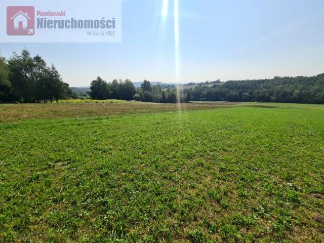 Działka 2 591 m², Grabie