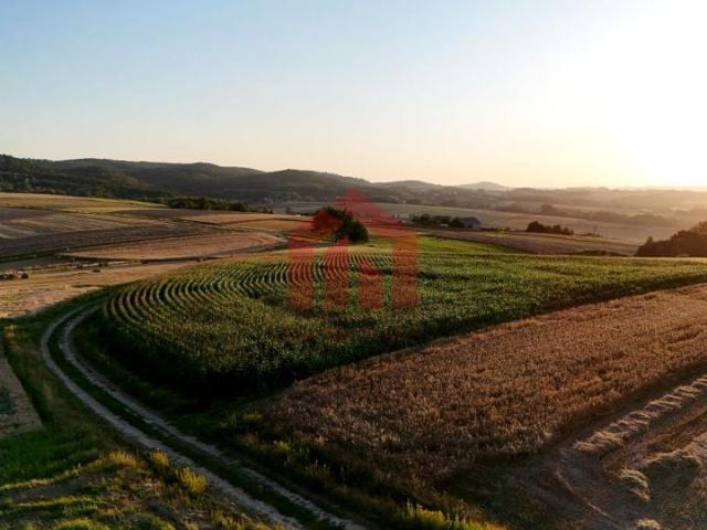 Działka 2 600 m², Brzeziny
