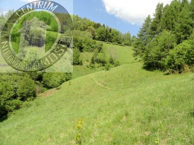 Działka 2 600 m², Ochotnica Dolna