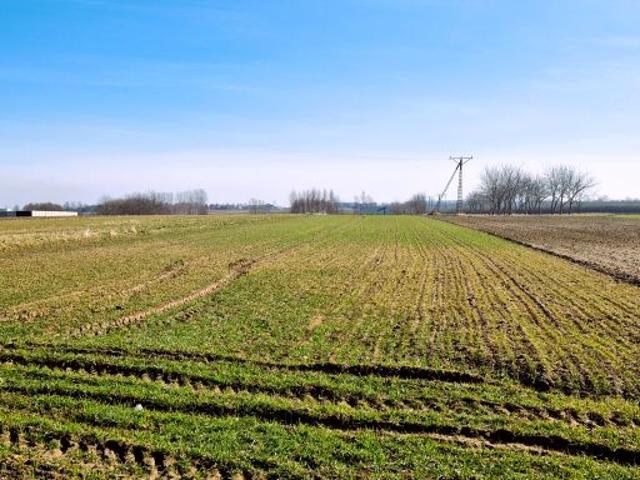 Działka 2 600 m², Rogóżno