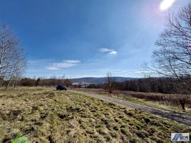 Działka 2 600 m², Wola Radziszowska