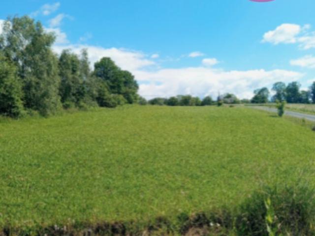 Działka 2,61 ha z lasem i terenem budowlanym