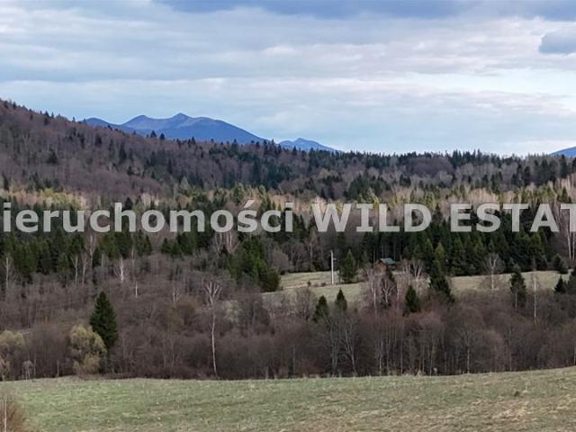 Działka 2 627 m², Krzywe