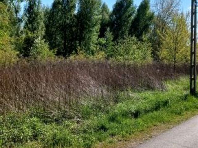 Działka 2 644 m², Bąkówka