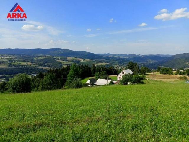 Działka 2 653 m², Limanowa