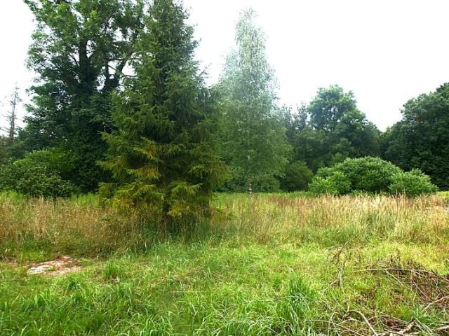 Działka 2 653 m², Pokój