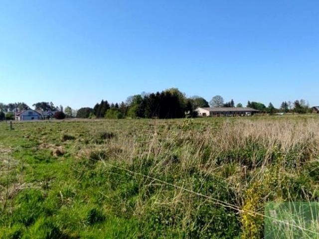 Działka 1 134 m², Modrzewie