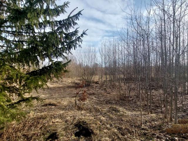 Działka 2 662 m², Bór
