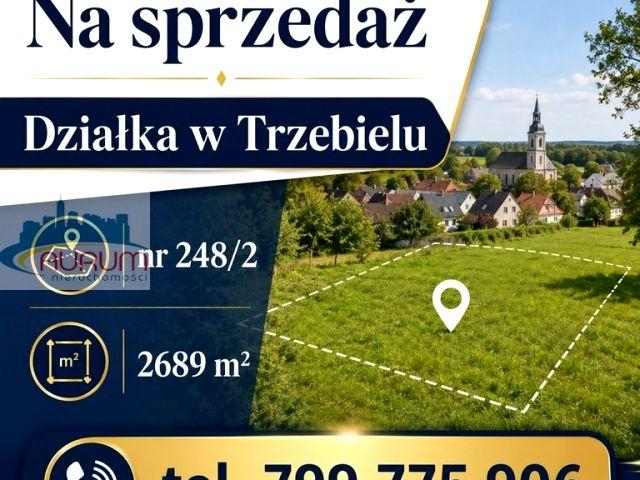 Działka 2 689 m², Trzebiel