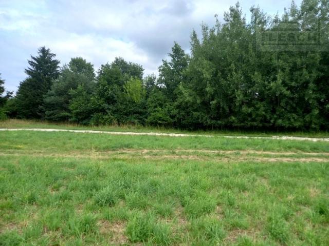 Działka 2 681 m², Młochów