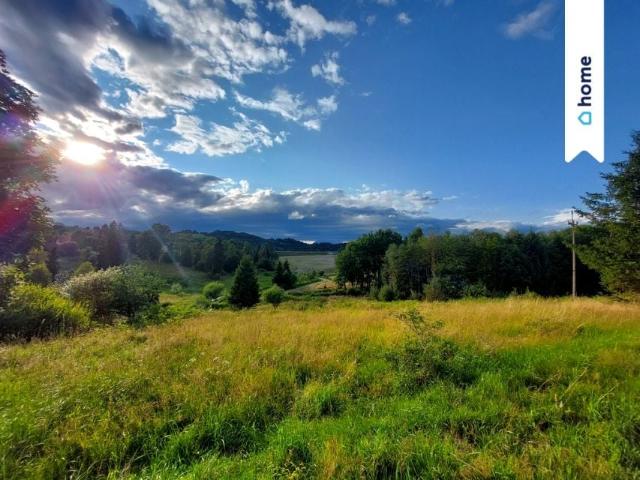 Działka 2 699 m², Laliki