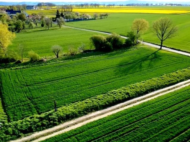 Działka 2 704 m², Godziszowa