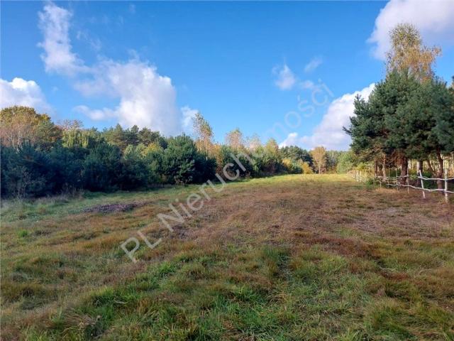 Działka 2 700 m², Arciechów