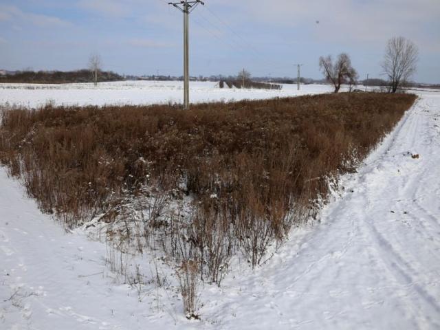 Działka 2 700 m², Mściów