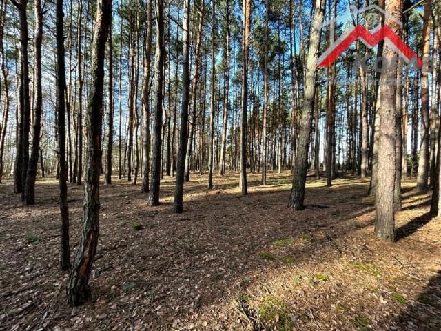 Działka 2 700 m², Stary Żabieniec