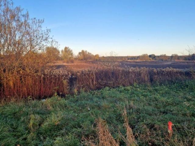 Działka 2 700 m², Wólka Kozodawska