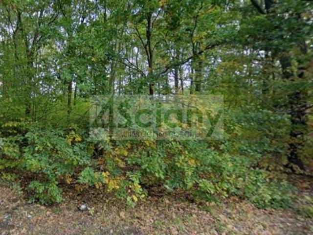 Działka 2 751 m², Grodzisk Mazowiecki