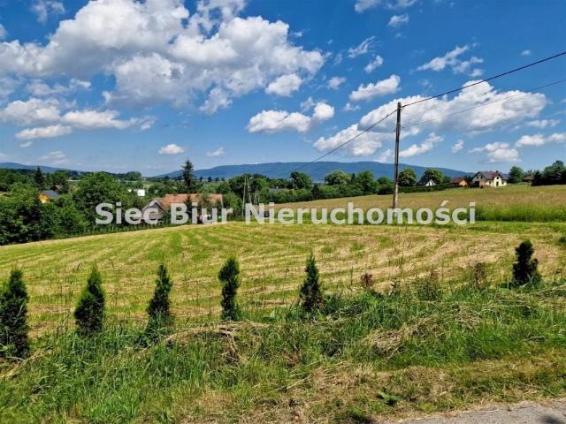 Azalii 2 751 m², Lipowa