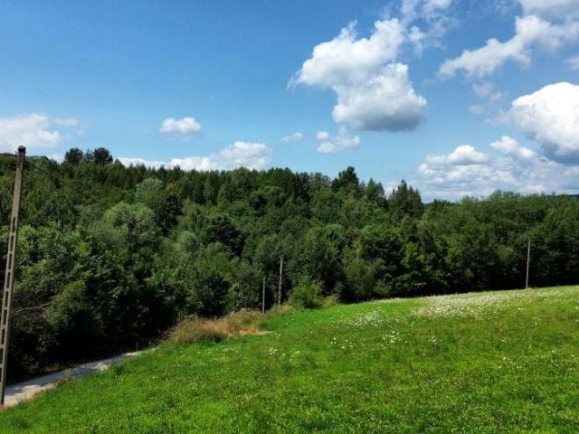 Działka 2 800 m², Krużlowa Wyżna
