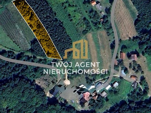 Działka 2 800 m², Husów