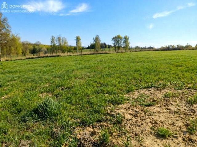 Działka 2 800 m², Świerklany