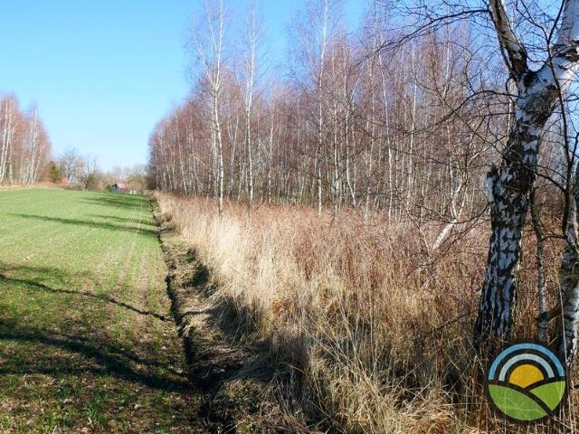 Działka 2 803 m², Morawica