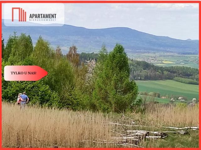 Działka 2 819 m², Rogówek