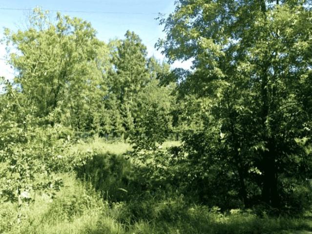 Działka 2 831 m², Ruda Śląska