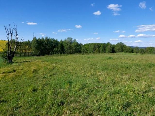 Działka 2 852 m², Chrząstówka