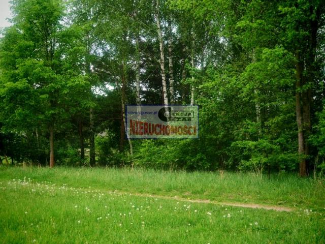 Działka 2 863 m², Dłużew