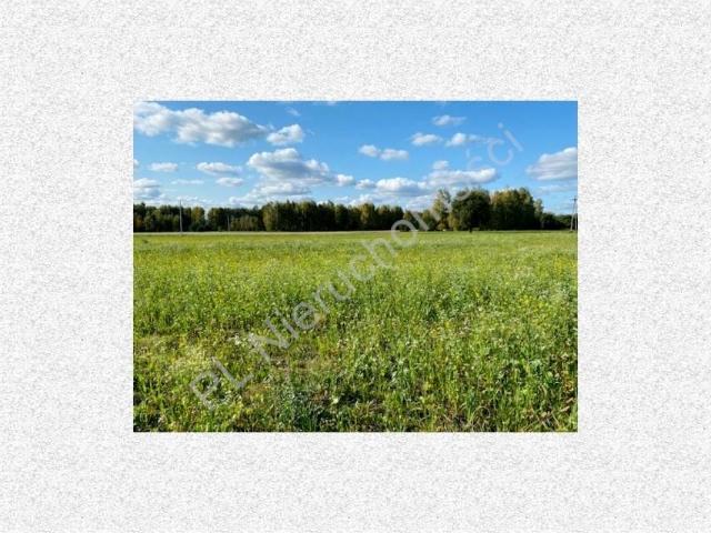 Działka 2 878 m², Boża Wola