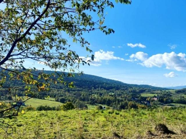 Działka 2 882 m², Zakrzów