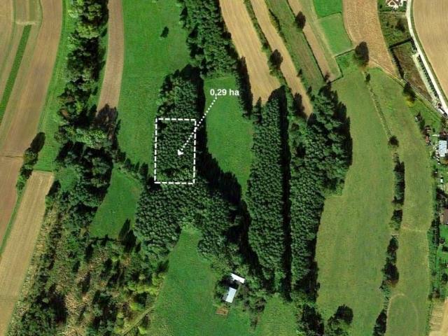 Działka 2 900 m², Budziwój