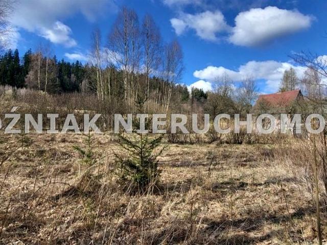 Działka 2 900 m², Kochanów