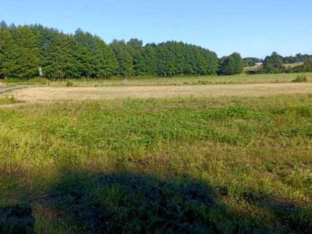 Działka 2 900 m², Jaszczew