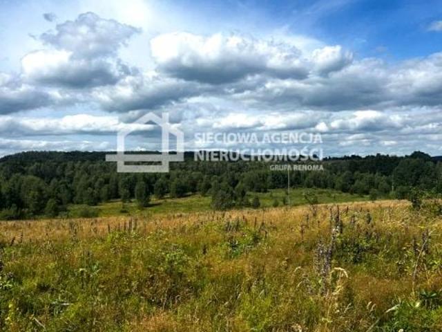 Działka 2 913 m², Trzepowo