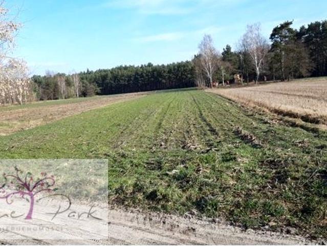 Działka 2 930 m², Szydłów
