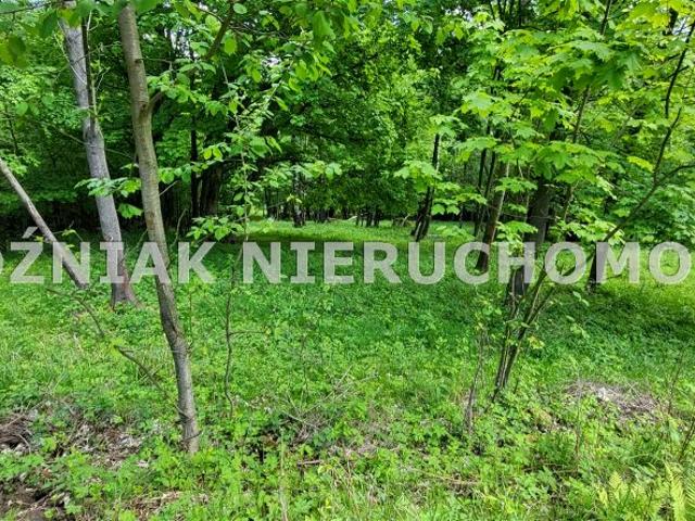Działka 2 943 m², Walim