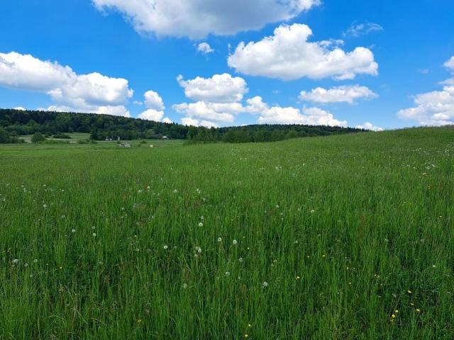 Działka 2 955 m², Lipinki