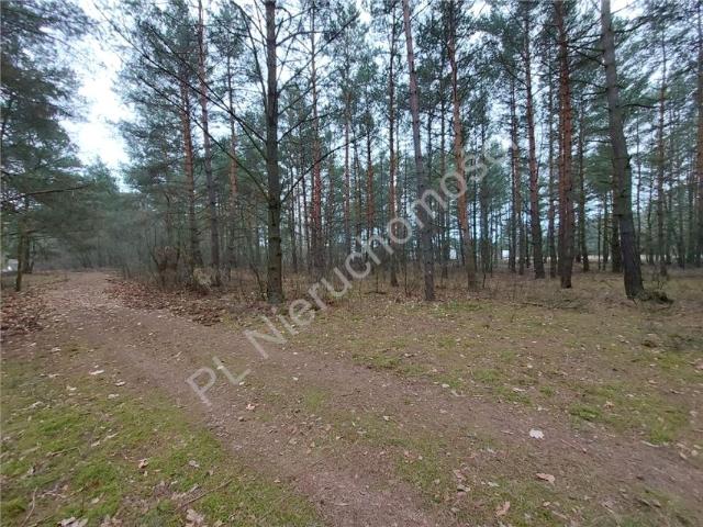 Działka 2 977 m², Arciechów