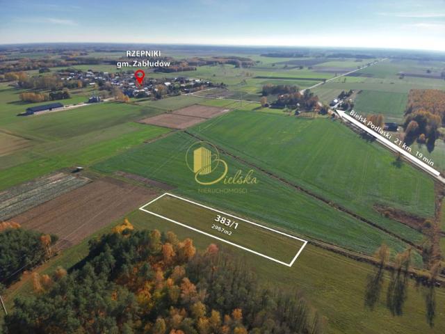Działka 2 987 m², Rzepniki