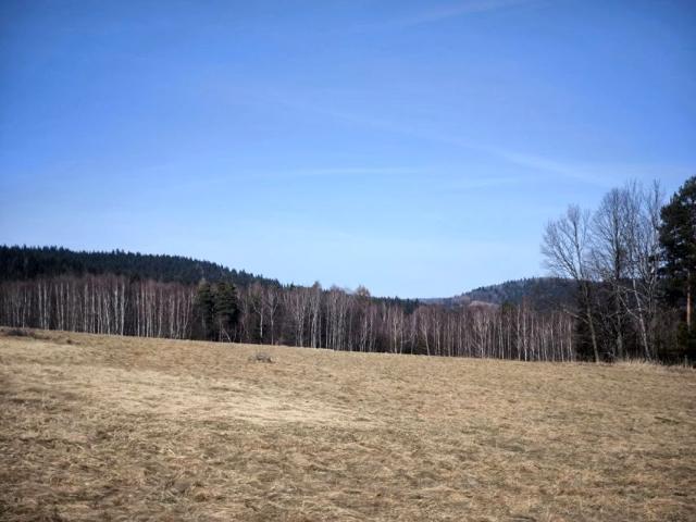 Działka 2 980 m², Kurów