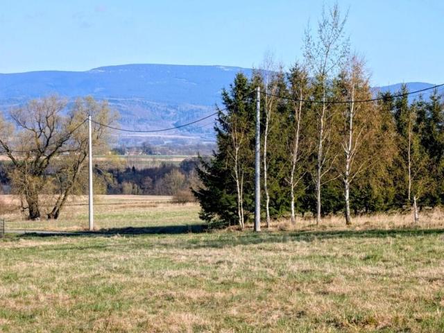 Działka 2 999 m², Długopole Dolne