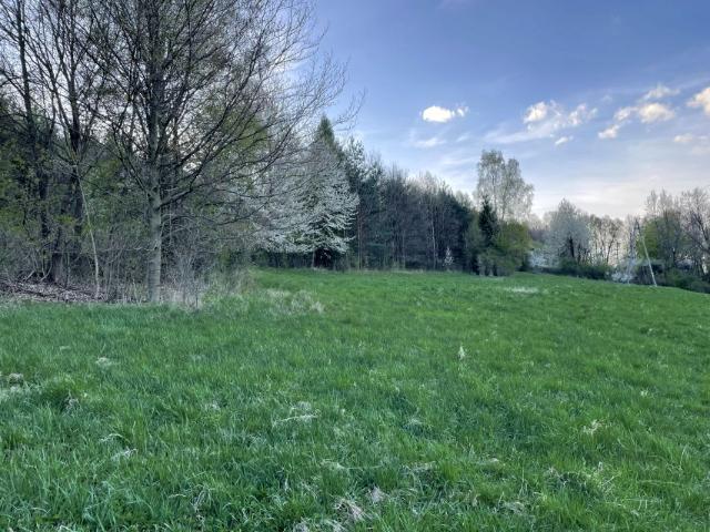 Działka 2 999 m², Długopole Dolne