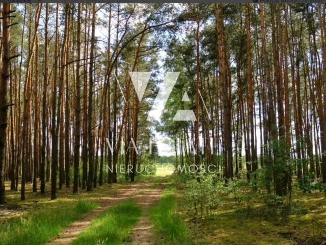 Działka 34 500 m², Glinianka