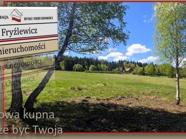 Działka 34 700 m², Krynica Zdrój